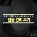 스파루체 이미지