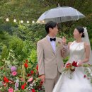 🌹대전 예식장 비브레스 가든 결혼식 후기｜비 오는 날도 완벽했던 야외웨딩, 그 날의 기적