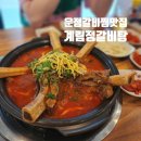 스피드메이트 운정점 | 운정 갈비찜 맛집 계림정 갈비탕 -갈비찜 미친 대존맛 운정 맛집 추천