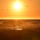 캘리포니아 이미지