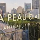 라퓨클레르 동물피부클리닉 이미지