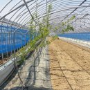 무지개농장 2 이미지