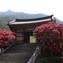 표충사 티스토리