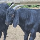 광개토농장 이미지