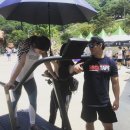 팀케이 이미지