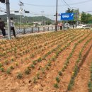 왕산7리 이미지