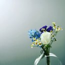 캔티뉴 - 마포구 매봉산로 18 | 캔티뉴