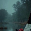 산에는꽃이피네 이미지