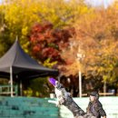 윤선생애견훈련소 이미지