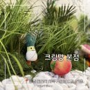 선영목장 | 천안 성정동 카페 늦은 시간에도 즐기는 크림빵 맛집, 밤 12시까지 영업하는 [크림당 본점]