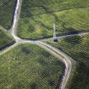 스테이오캄 이미지