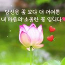 ☆ 촉 ! 이 발달 되다 ~ 이미지