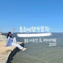 블루머핀 | [호주여행4일차] 블루마운틴&amp;페더데일 동물원 / 오페라바 OPERA BAR 후기