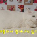 좋은친구팬시 이미지