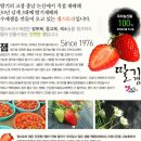 화화스토리 이미지