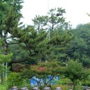 남평버스정류장 이미지