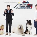 슈퍼독 이미지