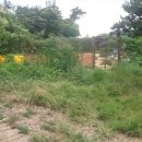 수원-0207 이미지