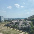 배곧테크노밸리 이미지