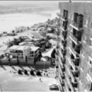 1968년 힐탑에서 바라본 유엔빌리지 모습. 이미지