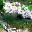 영심이네민박 이미지