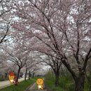 평택호정원 이미지