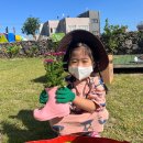 🌼 장화 속에 가을이 쏘옥! 🍂 이미지