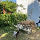 태산목장 이미지