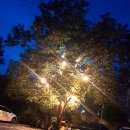 반딧불이펜션 이미지