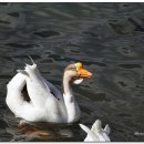 수성랜드 이미지