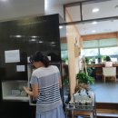 의제한의원 네이버블로그