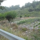 수안보중 이미지