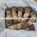 신미농산