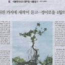 새싹나라 이미지