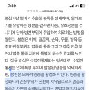 봉침으로 효과보신분 계신가요?? 이미지