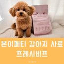 프레시 유통 | 편식 있는 아이도 잘 먹은 강아지 소고기 사료, 본아페티 프레시비프 급여 후기
