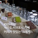 카카오 이미지