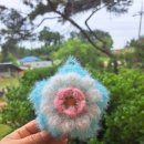 별송이 이미지