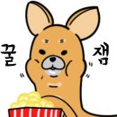 라인바이올린교습소