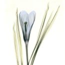 아름다운시선 이미지