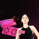 알피 이미지
