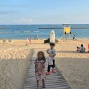 해변 | 이시가키 ANA 인터컨티넨탈 근처 바닷가 마에사토 해변 후기 소라게 스팟