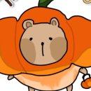 세진SC 이미지