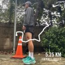 올아이즈온어스(주) | 러닝 4개월 차 직장인 첫 10km 서울어스마라톤 후기