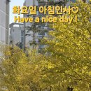 혀 이미지