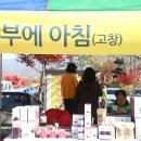 장수 베리 굿팜 이미지