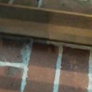 [북부] 블로그&동영상 이미지