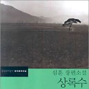 상록수로 티스토리