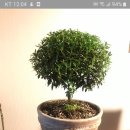 이발하기좋은날 이미지