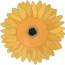 글빛초등학교 이미지